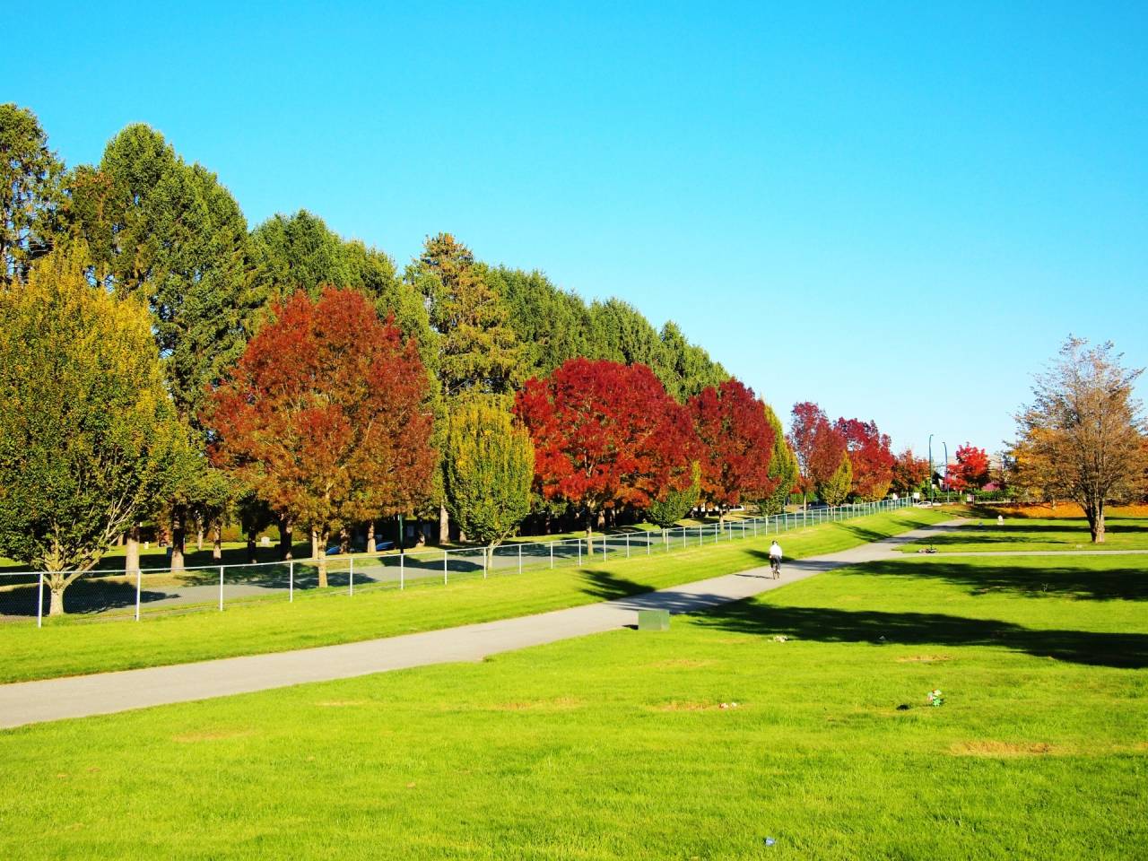 ペット霊園選びで後悔しないための料金ガイドとおすすめプラン