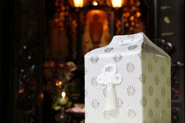 初めてのペット火葬…不安な方へ、流れとよくある質問